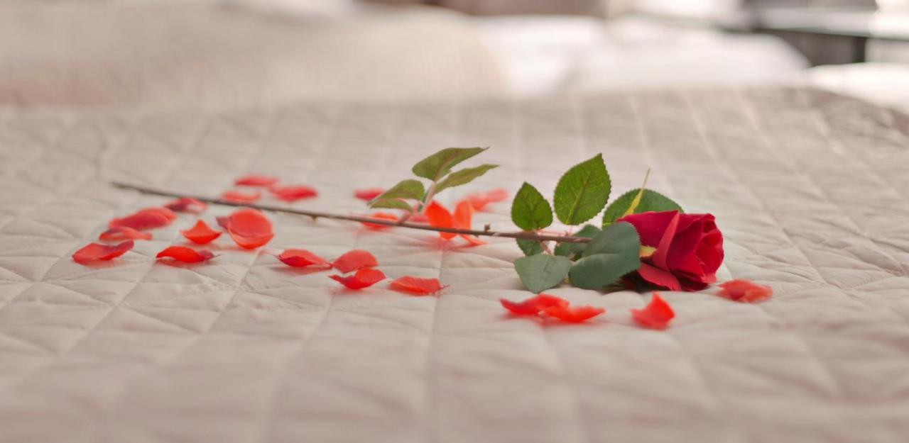 Hotel-Chao Nl 24 Hours Open Ουτρέχτη Εξωτερικό φωτογραφία